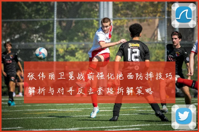 张伟丽卫冕战前强化地面防摔技巧解析与对手反击套路拆解策略